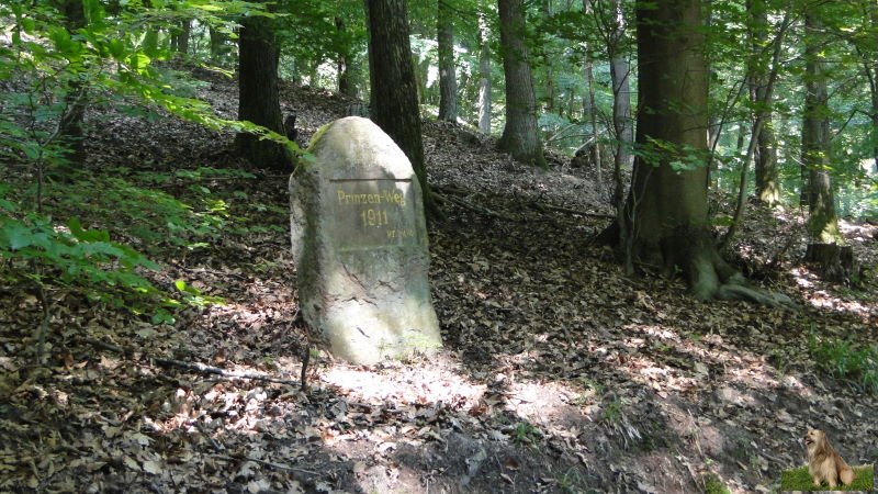 Ritterstein Nr. 041-4b Prinzen-Weg.JPG - Ritterstein Nr. 41 Prinzenweg 1911